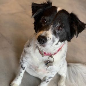 Meet your Posher, Alyse